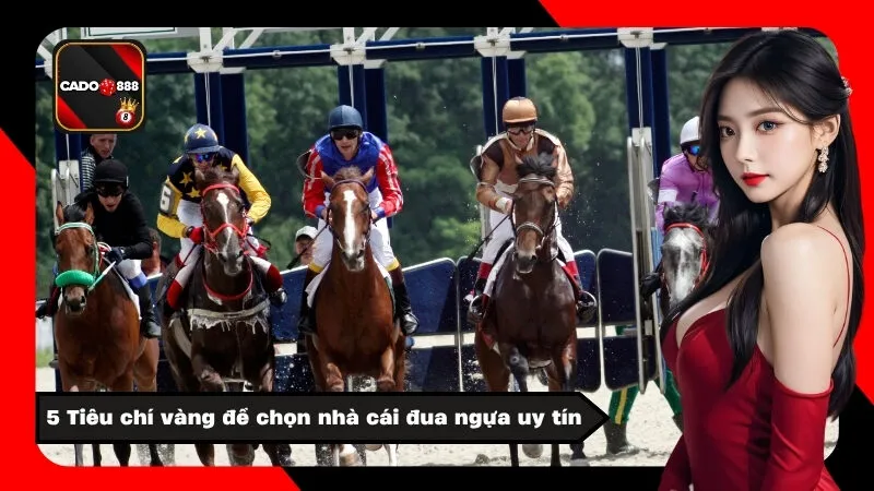5 Tiêu chí vàng để chọn nhà cái đua ngựa uy tín