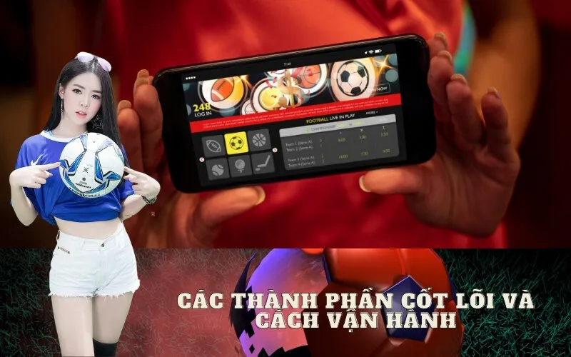 Các Thành Phần Cốt Lõi và Cách Vận Hành