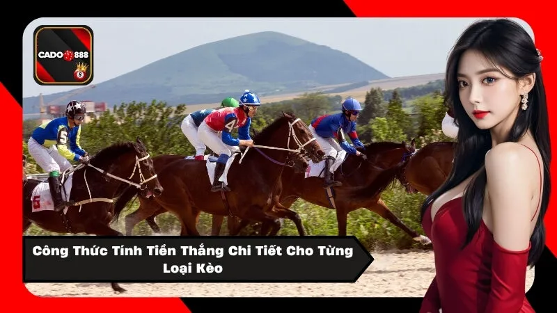 Công Thức Tính Tiền Thắng Chi Tiết Cho Từng Loại Kèo