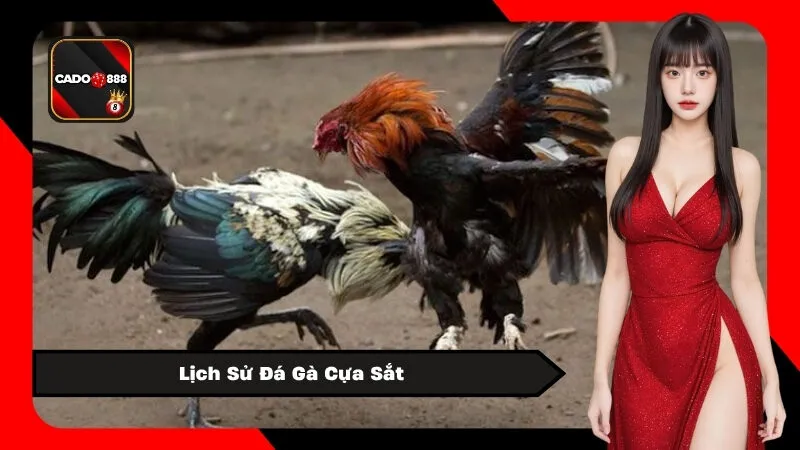 Lịch Sử Đá Gà Cựa Sắt