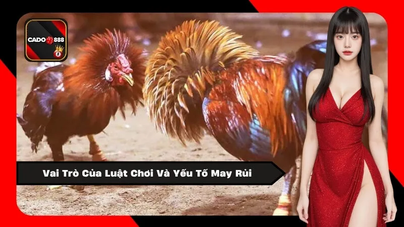 Vai Trò Của Luật Chơi Và Yếu Tố May Rủi